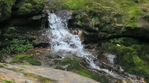 Nature Stock-Footage 12489471