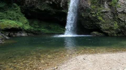 Nature Video stock 12489662