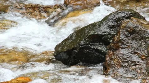 Nature Video stock 12503346