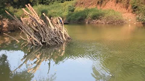 Nature Stock Footage 20195971