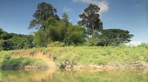 Nature Stock Footage 20224256