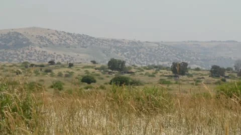 Nature Stock Footage 21371008