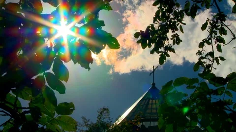 Nature 動画素材 73312326