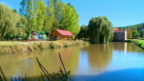 Nature Stock Footage 73312586