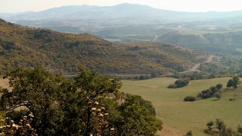 Nature 動画素材 73312755