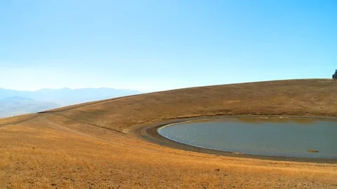 Nature 動画素材 73313101