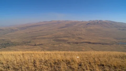 Nature Stock Footage 73313634