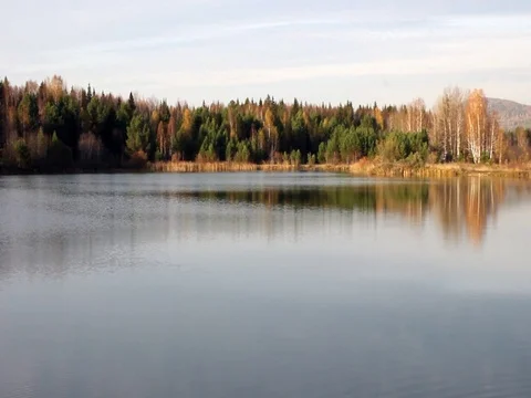 Nature Stock Footage 81102501