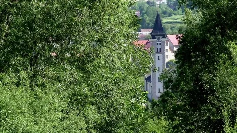 Nature Video stock 82771223