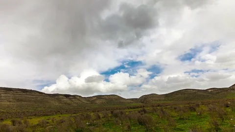 Nature Stock Footage 82922604