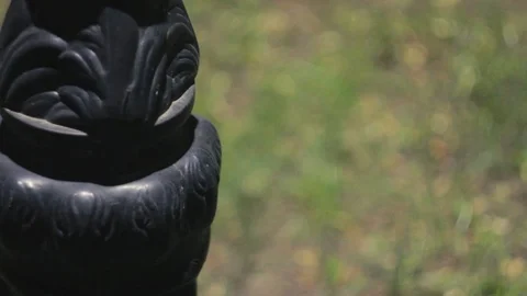 Nature 動画素材 89268420