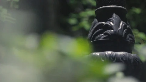 Nature Stock Footage 89268437