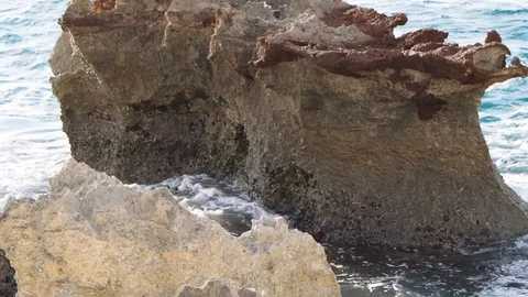 Nature Stock Footage 94591250