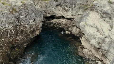 Nature Stock Footage 95278215