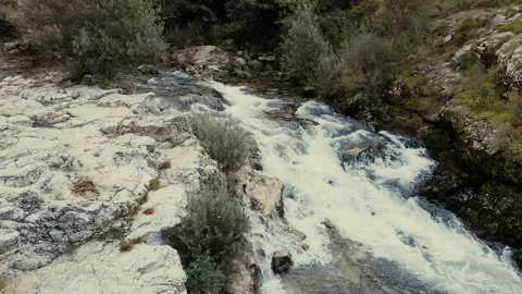 Nature Stock Footage 95278353