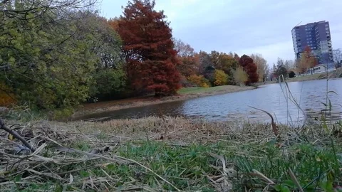 The nature Stock Footage 99878052