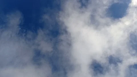 Nature Stock Footage 118803049