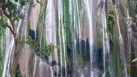 Nature Stock Footage 119898021