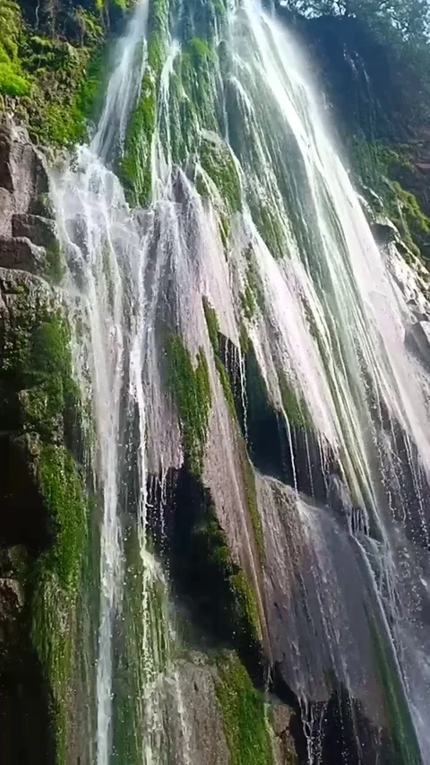 Nature Stock Footage 119898039