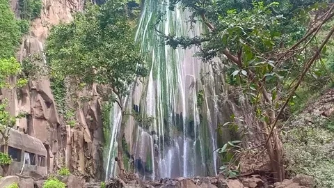 Nature Stock Footage 119898099