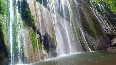 Nature Stock Footage 119898105