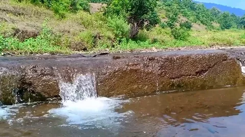 Nature Stock Footage 119898161