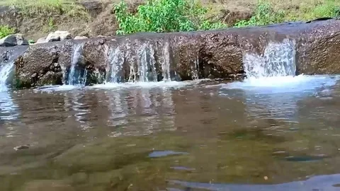 Nature Stock Footage 119898163