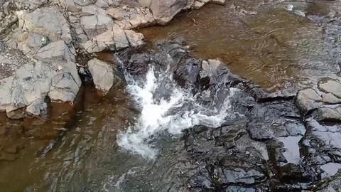 Nature Stock Footage 119898164