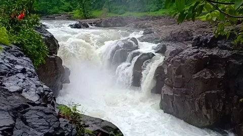 Nature Stock Footage 119975699