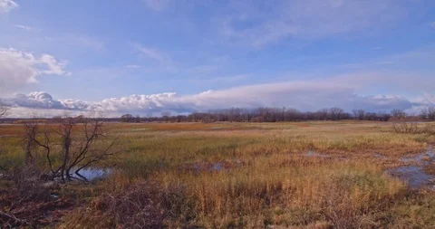 Nature Stock Footage 120605385