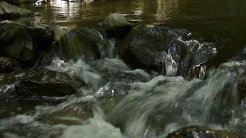 Nature 스톡 동영상 123747563