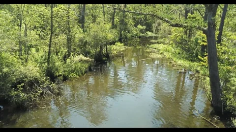 Nature Stock Footage 127243057