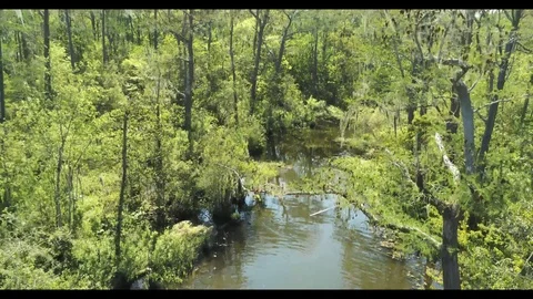 Nature Stock Footage 127243131