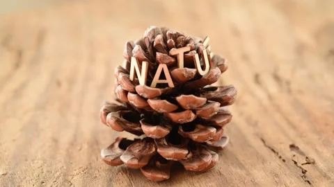 Nature Stock Footage 132654090