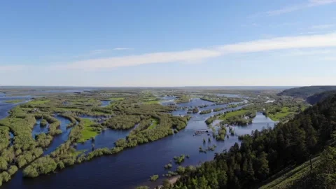 Nature Video stock 139551956