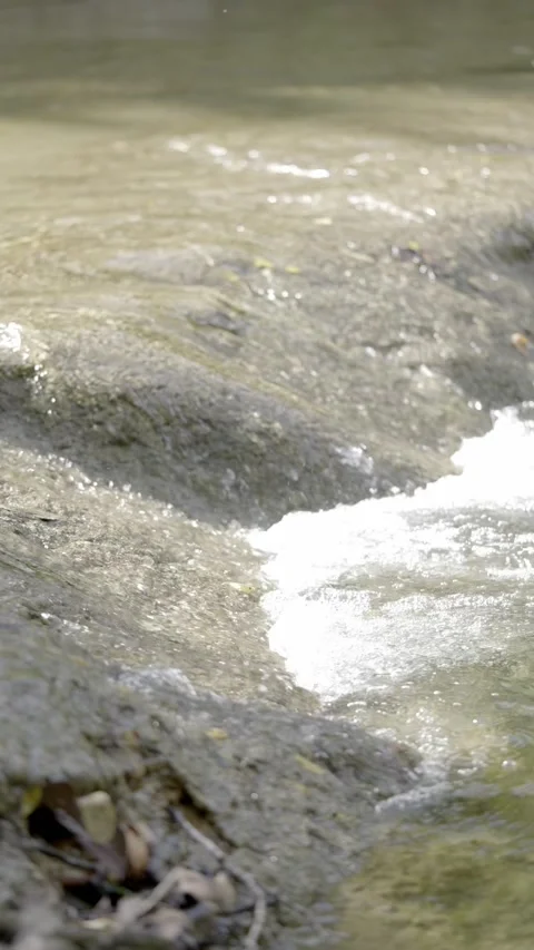 Nature Stock Footage 159300193