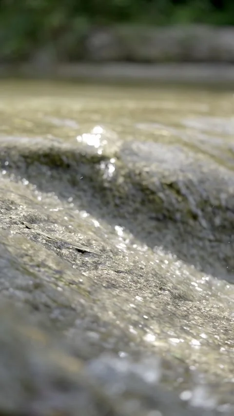 Nature Stock Footage 159300213