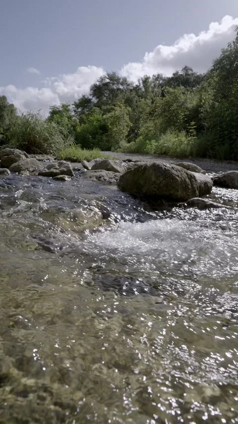 Nature Stock Footage 159300291