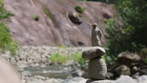 In nature Stock Footage 166805462