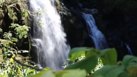 In nature Stock Footage 166805518