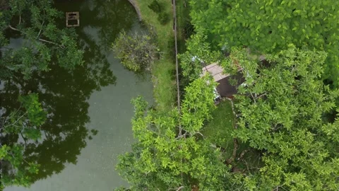 Nature 스톡 동영상 168149477