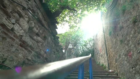 Nature Video stock 169657895