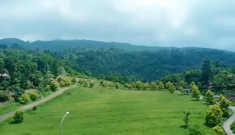 Nature Video stock 171008778