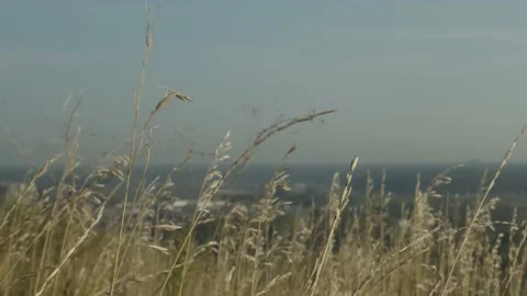 NATURE Stock Footage 188526243