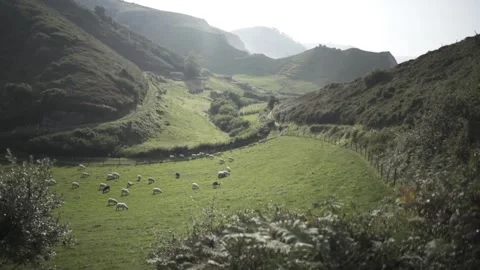 Nature Stock Footage 195451629