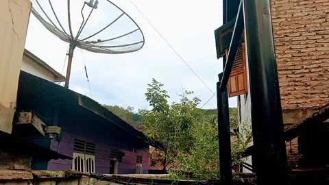 Nature Stock Footage 199009140