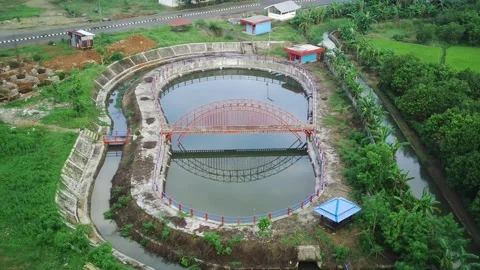 Nature Video stock 199594388