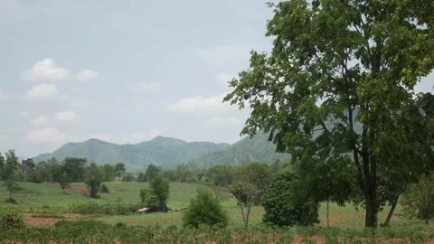 Nature Stock Footage 205475099