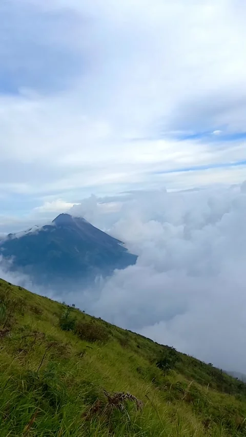 Nature Stock Footage 205550118