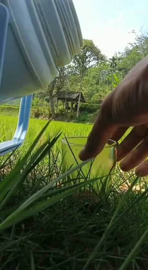 Nature Stock Footage 205990888